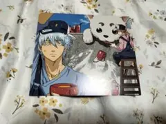銀魂　特典　イラストカード　坂田銀時　神楽　万事屋　定春