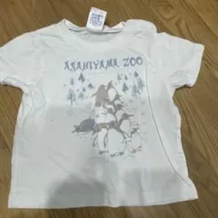 United Athle 旭山動物園 ペンギン Tシャツ 90のサムネイル