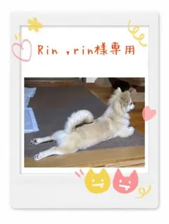 羊毛フェルト　専用ページ