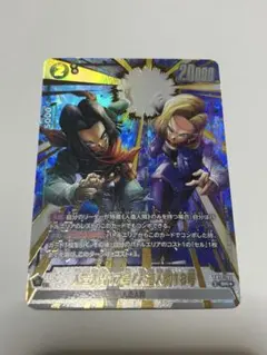 人造人間17号/人造人間18号 SR★ [FB10-102]