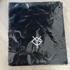 巨人 入場特典 タオル