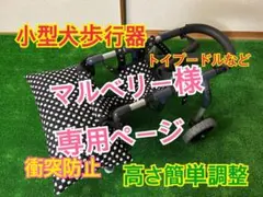 Item thumbnail for item ca16d875-563c-4838-afd0-e8e8e0c88b01