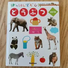 Item thumbnail for item 53374339-5746-41fc-9d24-1482fdafea54