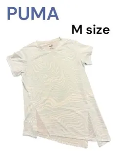 Item thumbnail for item 7e853557-8d3a-4e9c-a5c4-19d9f8eb9872