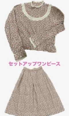 新品未着用！フィントブラウス＋スカートのセットアップのサムネイル