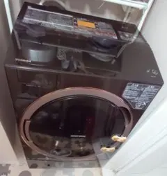 2025年最新】分解洗浄済み洗濯機の人気アイテム - メルカリ