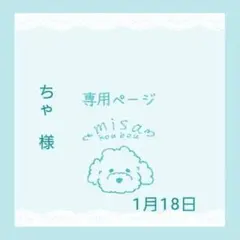 ちゃ様専用ページ