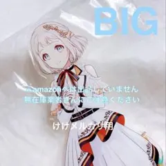 篠澤広 MOIW 2025 開催記念 公式BIGアクリルスタンド 未開封 - メルカリ
