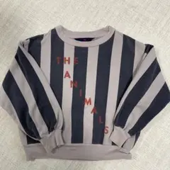 THE ANIMALS OBSERVATORY ストライプ トレーナー 120