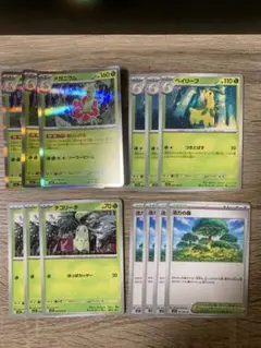 ポケモンカード メガニウム 活力の森 セット