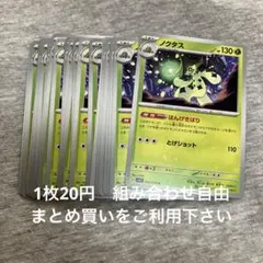 ノクタス　在庫22