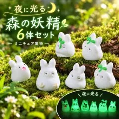 축광 미니 피규어 6체 세트 숲의 요정 테라리움 화분 입상 야광