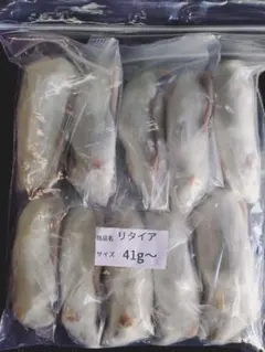 Item thumbnail for item c9fb3472-baee-4acb-a230-d15e117d659d