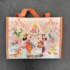 Disney ディズニーランド ランド40周年 ランチバッミッキー