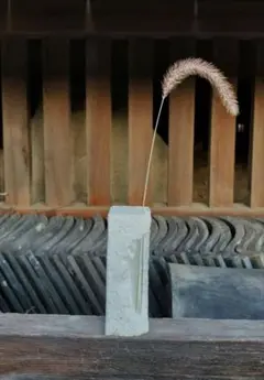 Item thumbnail for item f1ff2f9f-8e90-49ee-9620-f5f911c73af2