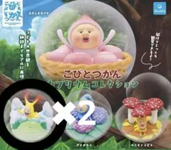 こびとづかん❤︎カプリウムコレクション2個セット