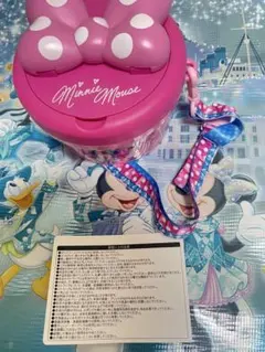 2026年最新】ディズニー パルパルーザ ポップコーンの人気アイテム