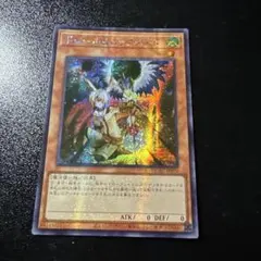 ドロール&ロックバード　QCAC アジア　シークレット　亜シク