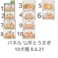 オーダーページ パネル おしゃれ うさぎ 8.6.29 - メルカリ
