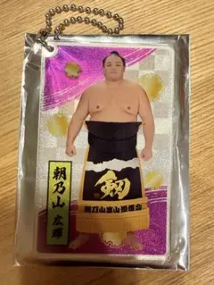 大相撲　アクリルトレカ　朝乃山