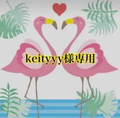keityyy様専用