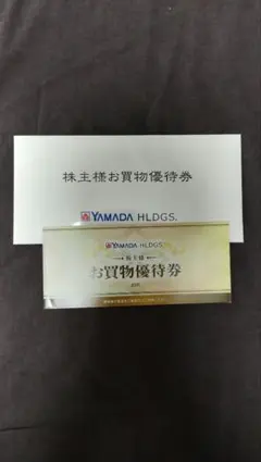 ヤマダ電機株主優待券 10枚5000円分