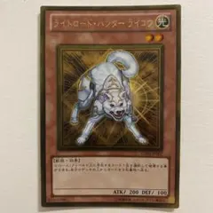 2026年最新】ライトロード・ハンター ライコウ GS03-JP007 の人気