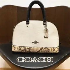 ✨【極美品】COACH/コーチ/ハンドバッグ✨