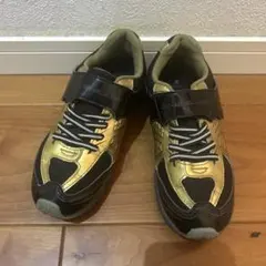 Item thumbnail for item b8ba1fbc-fb69-486c-bfbe-ba777c3bed77