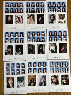 seju 証明写真風 バラ売り フォトカード セットこぞのいねねだけ売れて