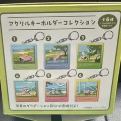 アクリルキーホルダーコレクション ポケモンセンターカガワ BOX 全6種