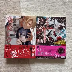 ＢＬ文庫 ２冊セット