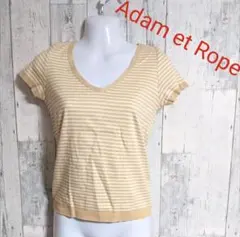 Adam et rope' ボーダー コットン 半袖 Tシャツ Mのサムネイル