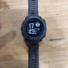 GARMIN インスティンクト