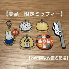 美品　限定　6点セット　アクリルマグネット 刺繍ブローチ　ミッフィー福袋