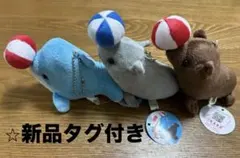 新品タグ付き⭐︎遊び隊　水族館　イルカ、オットセイ、アシカ　全3種のサムネイル