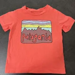 Patagonia ベビーTシャツのサムネイル