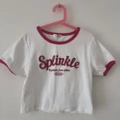 INGNI スプリンクル クロップド刺繍Tシャツ　サイズM