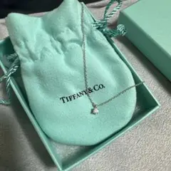 s*h様 ティファニーダイヤモンドソリティアネックレス✴︎鑑定書付き