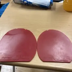 ディグニクス05赤特厚2枚