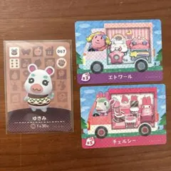 あつ森　amiiboカード　ゆきみ　エトワール　チェルシーセット