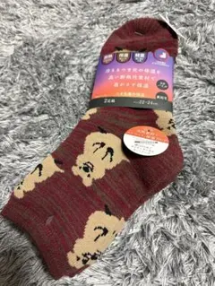 Item thumbnail for item 3a1cedf0-5260-4ad1-b1f1-28a3778bcd9a