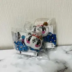 ジェ猫 アイドル