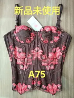 ダイアナ　コルセット　A75のサムネイル