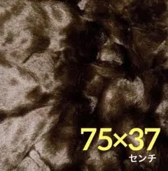 Item thumbnail for item 89d1203c-2865-4390-a023-8650fa43fda8