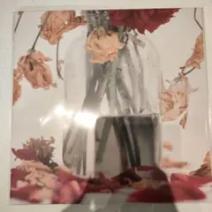 Camellia - 唾奇 / LP, レコード Camellia - 唾奇のアルバム - Apple Music