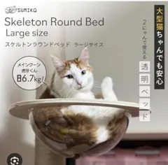 Item thumbnail for item 0c5e0de1-1884-458c-b867-c101c664f5e3