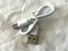 USB Type-C to USB A ケーブル 30cm ホワイト