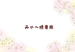 みゃ〜様 リクエスト 3点 まとめ商品