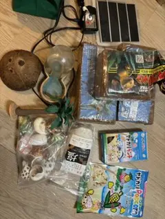 Item thumbnail for item dae9a683-7c39-45b6-abae-f2c40dc6aed3